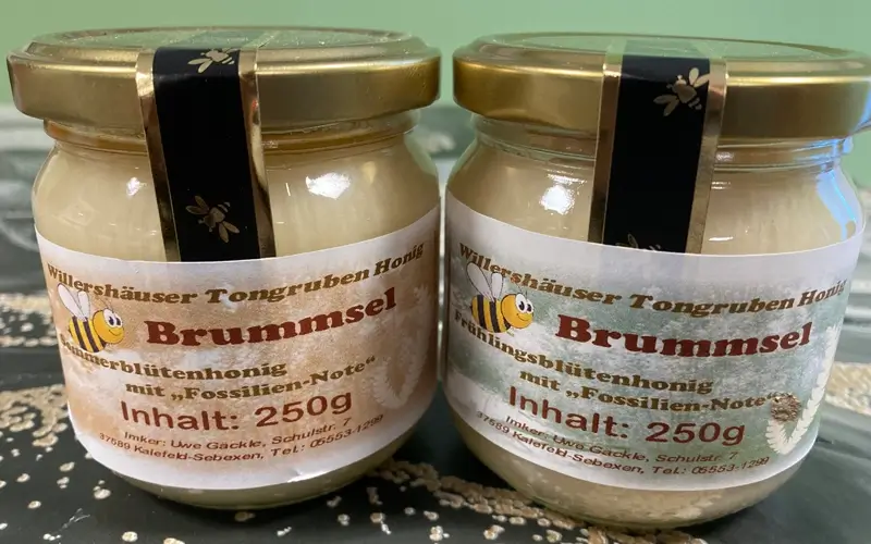 Tongrube Willershausen_Aktuelles 3
