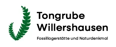 Tongrube Willershausen