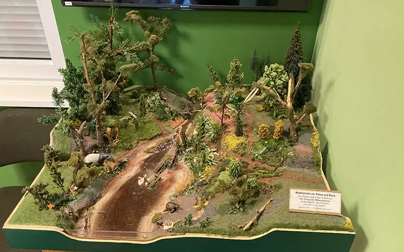 2.3 Geotop-Station + Ausstellung (3)
